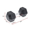 20KG Commercial Rubber Hex Dumbbell Gym Weight