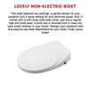 Non Electric Bidet Toilet Seat W/ Cover Bathroom Spray Washlet Water Wash