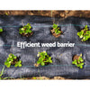 Instahut Weed Control Mat Black