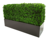 Deluxe Portable Buxus (Bright) UV Resistant 100cm Long x 50cm High x 25cm Wide